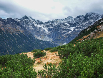 Scenic view of snowcapped mountains against sky