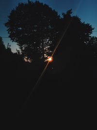 Low angle view of trees against sky