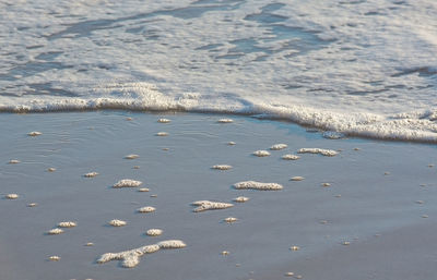 High angle view of beach