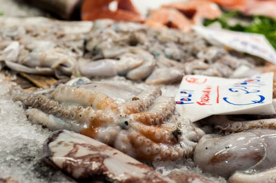 Close-up of fish for sale in market