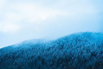 Scenic view of snow covered land against sky