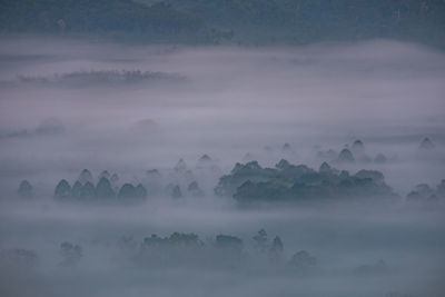 Scenic view of fog covered landscape against sky
