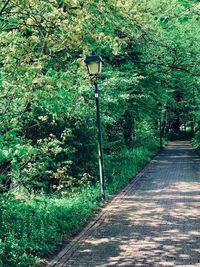 Street light on footpath by road
