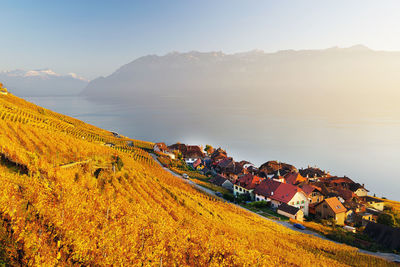 Residential buildings by vineyard against sky