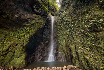 Scenic view of waterfall in forest