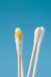 Close-up of cotton swabs against blue background