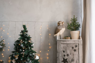 Living room interior, decorated for christmas and new year. owl on the closet, christmas tree