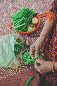 High angle view of woman holding vegetables