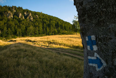 Scenic view of land against sky