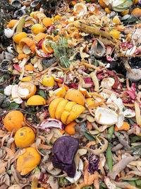 High angle view of fruits