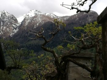 Scenic view of snow covered landscape