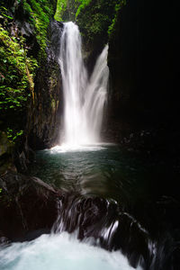 Scenic view of waterfall in forest