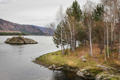 Scenic view of river amidst trees against sky