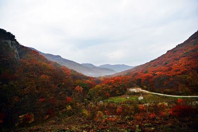 Scenic view of mountains against sky