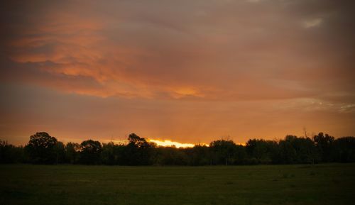 Scenic view of grassy field against sky during sunset