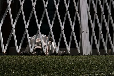 Digital composite image of man sitting on grass