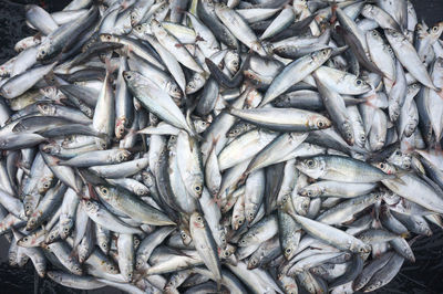 Full frame shot of fish for sale in market