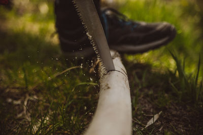 Close-up of person wearing shoes on field