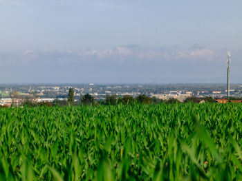 View of rural landscape