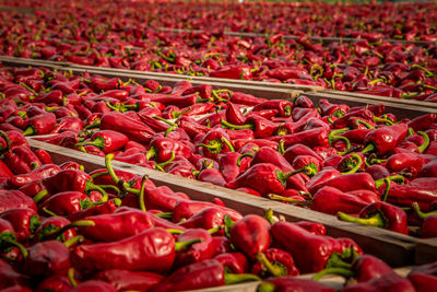 Red chili peppers for sale at market stall