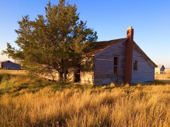 Barn in reed grass field