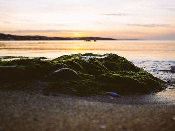 Close-up of rocks on beach against sky during sunset