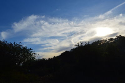 Scenic view of trees against cloudy sky