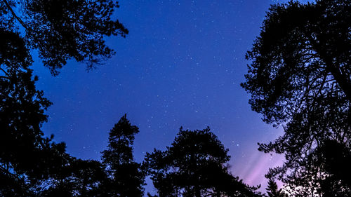 Low angle view of trees against clear blue sky