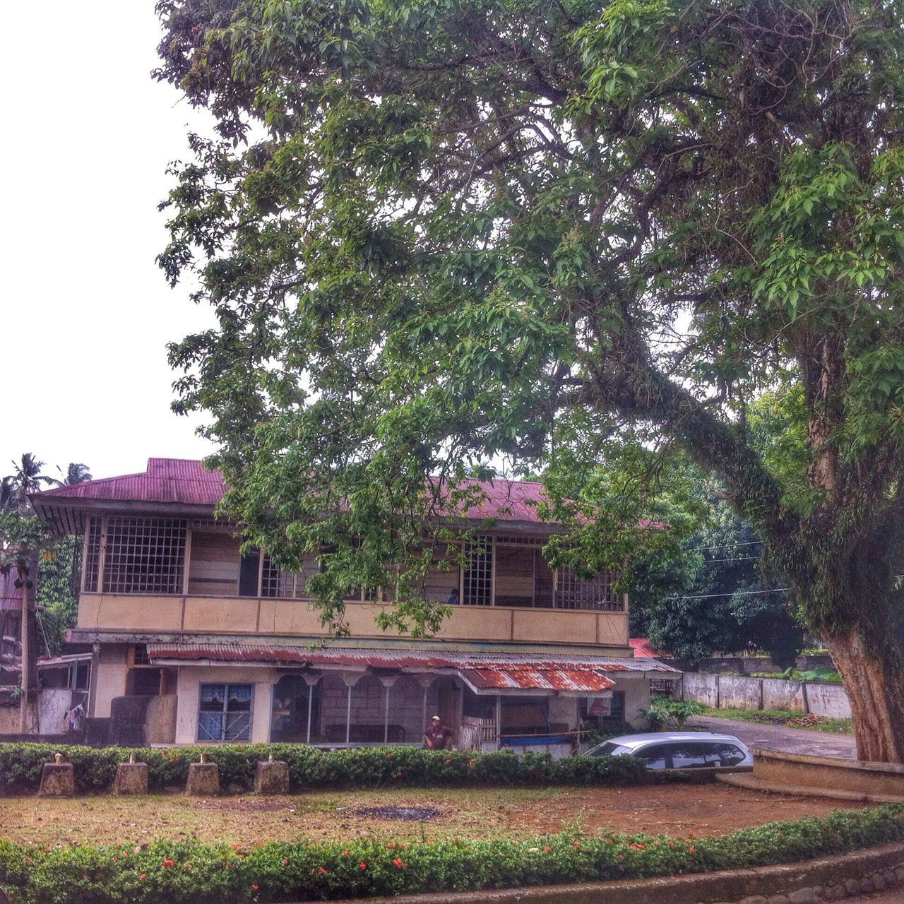 building exterior, tree, architecture, built structure, clear sky, house, growth, transportation, grass, car, land vehicle, residential structure, day, mode of transport, outdoors, green color, residential building, no people, road, field