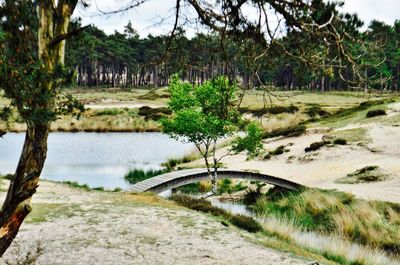 Scenic view of landscape