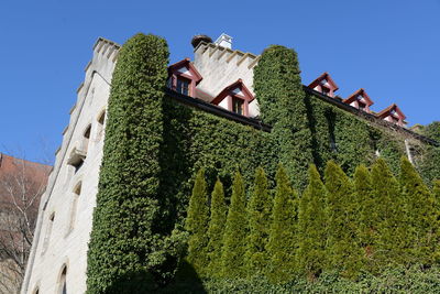 Low angle view of tree and building against sky