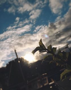 Sun shining through clouds