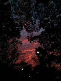 Low angle view of silhouette trees against sky at night