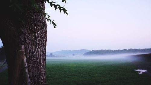 Scenic view of farm against sky