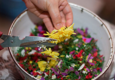 Cropped hand of person cutting flowers in bowl