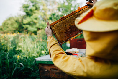 Close-up of man holding beehive against plants