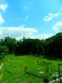 Scenic view of landscape