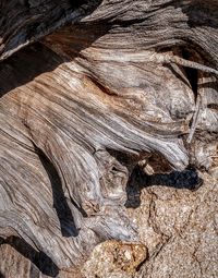 Full frame shot of rock formation