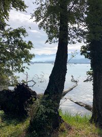 Scenic view of lake against sky