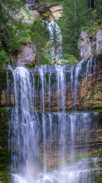 Stream flowing through forest