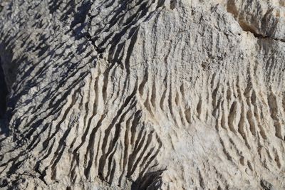 Full frame shot of sand