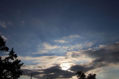 Low angle view of silhouette trees against sky