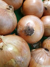Full frame shot of pumpkins in market