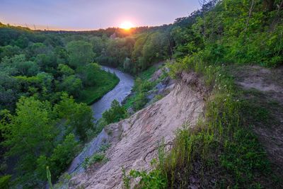 Scenic view of river in forest against sky