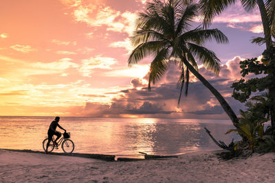 Side view of silhouette man riding bicycle at beach against sky during sunset