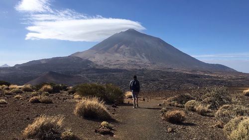 Rear view of man walking on mountain