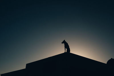 Silhouette person standing against clear sky during sunset