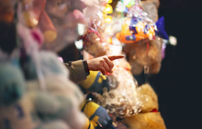 Close-up of an animal on hand