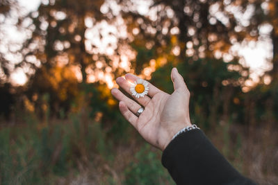 Cropped hand of person holding gift or a flower