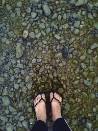 Low section of woman standing on pebbles in shallow water